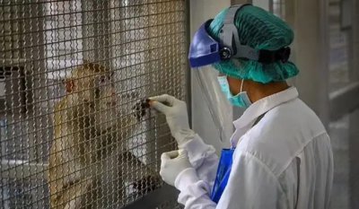 ​猴痘是什么病什么样子的 猴痘病毒中国有吗会传到中国吗