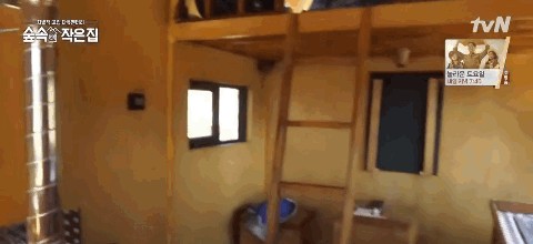 大尺度综艺节目（适合跨年看的大尺度综艺）