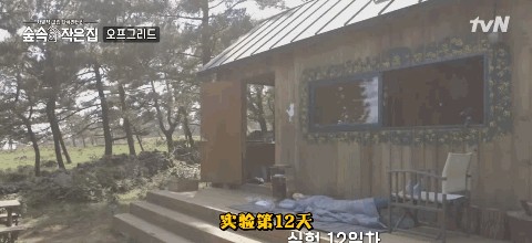 大尺度综艺节目（适合跨年看的大尺度综艺）