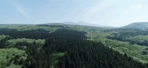 大尺度综艺节目（适合跨年看的大尺度综艺）