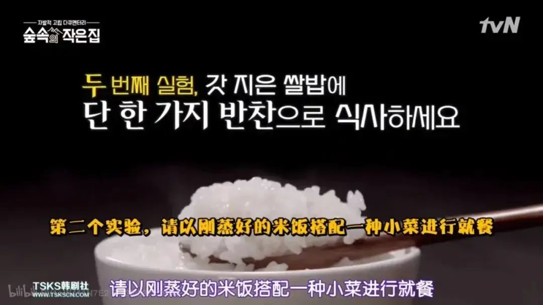 大尺度综艺节目（适合跨年看的大尺度综艺）