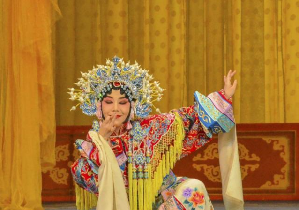 羞花形容哪位美女,中国古代四大美女中的羞花是用来形容哪一位的图4