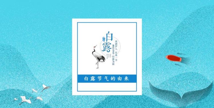 白露出自哪里
