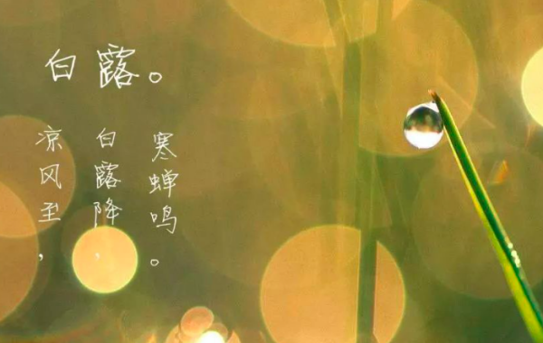 白露由来的人名,白露节气的由来和风俗视频图4