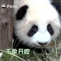 最近网上很火的四川方言（最扎劲的四川方言来啦）(1)