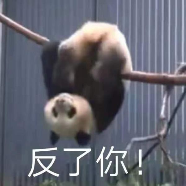 最近网上很火的四川方言（最扎劲的四川方言来啦）(10)