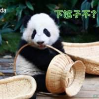 最近网上很火的四川方言（最扎劲的四川方言来啦）(7)