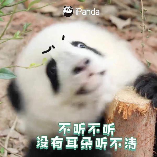 最近网上很火的四川方言（最扎劲的四川方言来啦）(11)