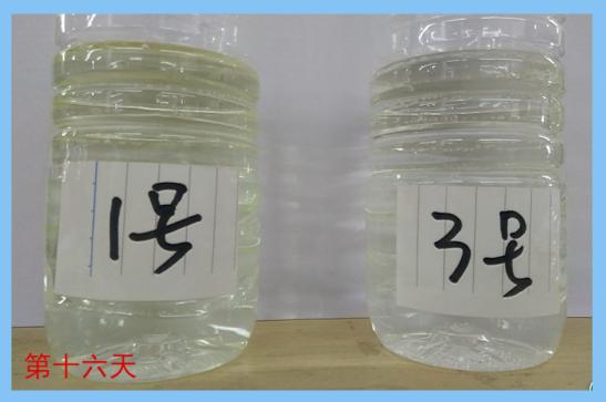 六种快速去除甲醛方法又快又有效（用这土办法有效治理甲醛）(3)