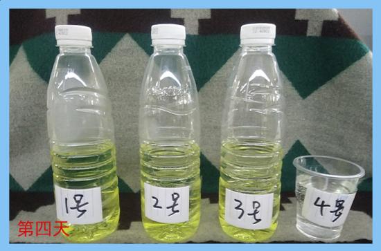 六种快速去除甲醛方法又快又有效（用这土办法有效治理甲醛）(2)