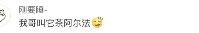 100个经典爆笑口误（这些口误闹出的笑话）(9)