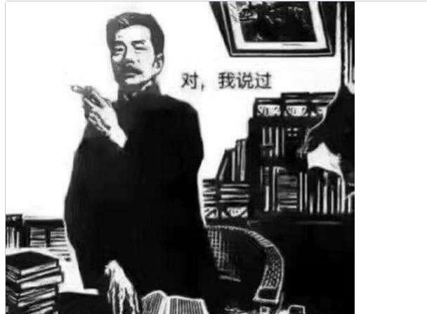鲁迅骂人不带脏字100句（鲁迅骂人不带脏字）(7)
