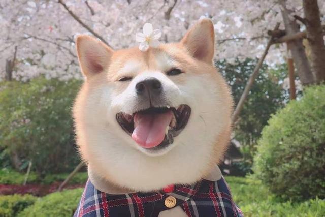 怎样释放自己的压抑情绪（两招教你释放被压抑的情绪）(3)