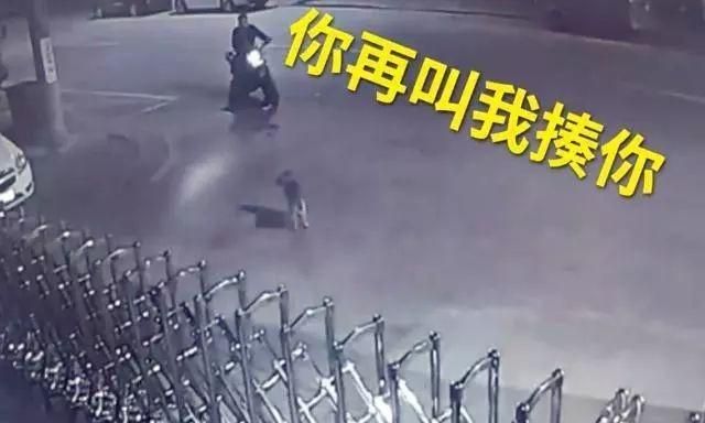 鼠的谐音吉利成语，鼠年的祝福语？或者成语有哪些？图4