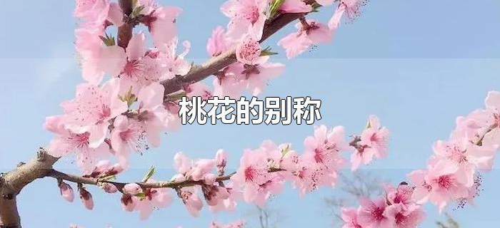 桃花的别称