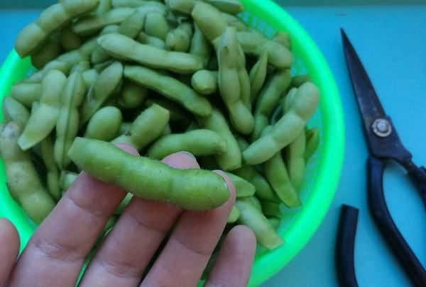 毛豆怎么炒好吃又入味,毛豆怎么炒好吃又入味图5