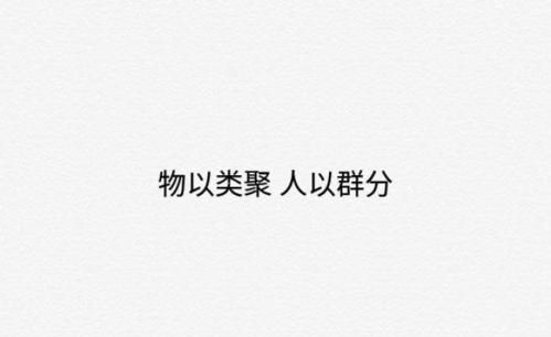 物以类聚人以群分什么意思