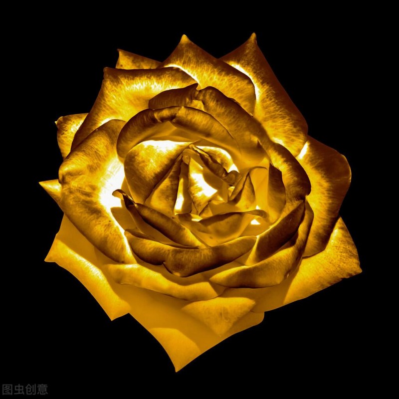 心理小测试心机深还是傻白甜（心理测试喜欢哪朵花）