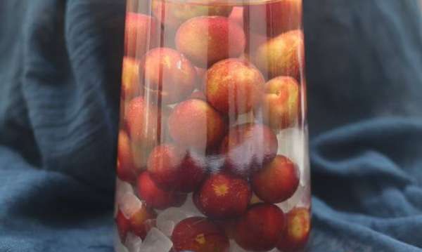 红李子酿酒制作方法,红叶李子酿酒制作方法图5