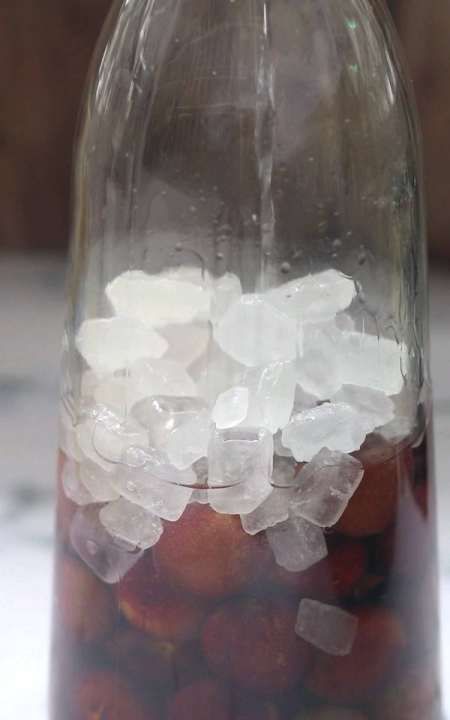 红李子酿酒制作方法,红叶李子酿酒制作方法图4