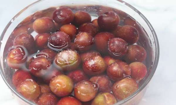 红李子酿酒制作方法,红叶李子酿酒制作方法图2