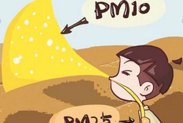 pm10的主要来源是什么