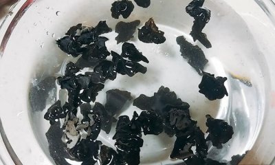 ​木耳煮熟冷冻能放多久,煮熟的木耳放冰箱里能放几天