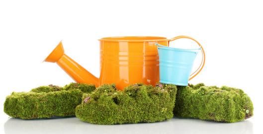 水桶里有青苔水还能喝吗