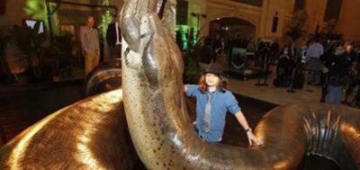 ​泰坦巨蟒的天敌是谁?泰坦巨蟒不妨敌过所有生物吗