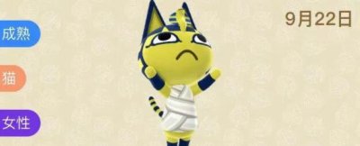 ​埃及猫是什么梗，一只跳舞的猫_附本版高清视频