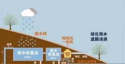 雨有什么作用