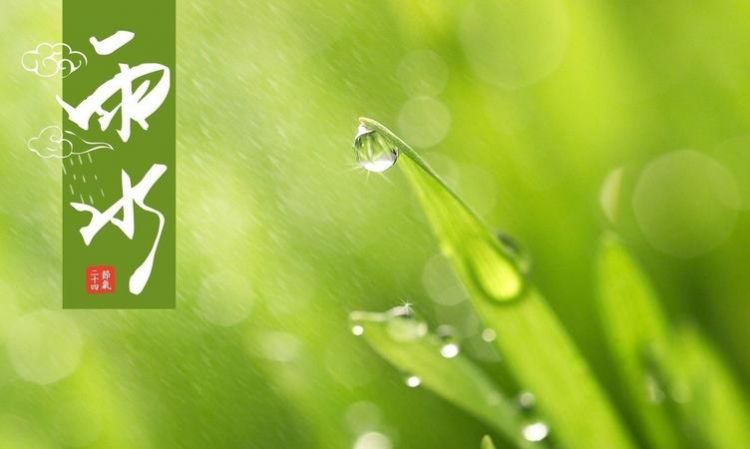 雨水的作用是什么二年级