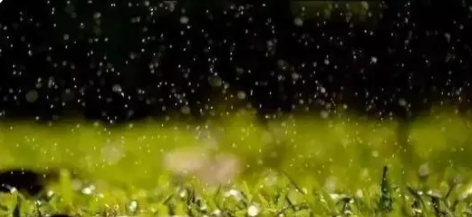 雨水的作用,雨有什么作用图3