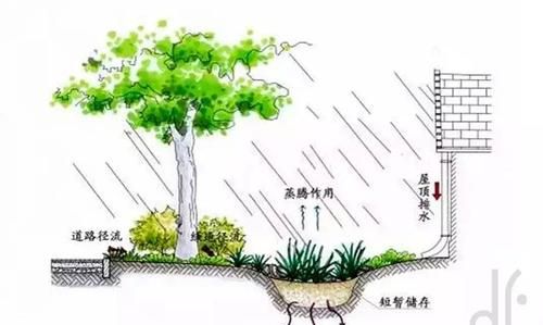 雨水对大自然有哪些作用吗?