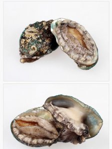 ​鲍鱼怎么保存最新鲜，鲍鱼要怎么保存能放一星期？