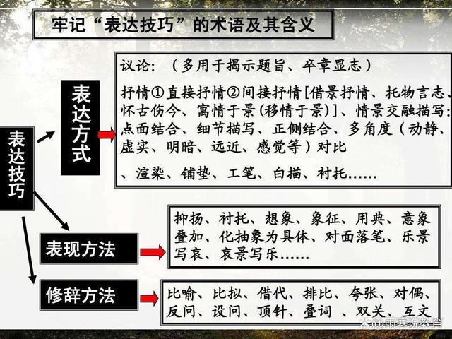 什么叫表现手法（表现手法有哪些）