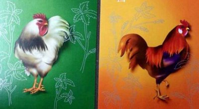 ​乙酉是什么道理？乙酉年是哪一年（搞支排序22位）