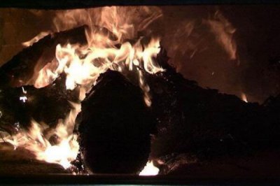 ​人火化后基因去哪了 在焚烧过程中被完全焚毁_基因消失