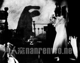 世界十大奇案:月光下的暗害者