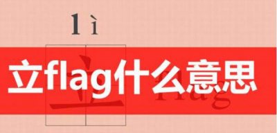 ​flag是什么道理华文，是旗子的道理_搜集上常用来表现玩弄