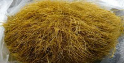 ​猪砂是什么物品值钱吗，猪的内脏结石_6万只可购1克