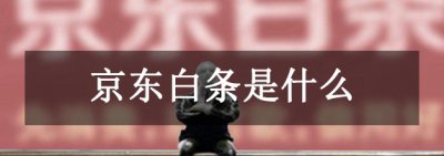 ​京东白条是什么?京东推出的“先消耗后付款”的付出办法