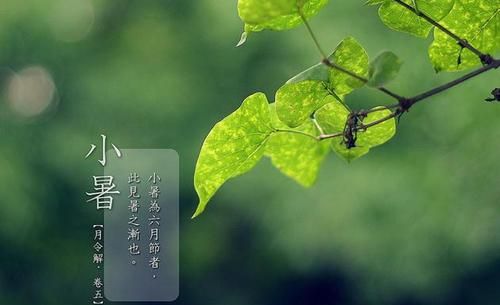 大暑是几月几日