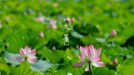小暑大暑是什么时间什么意思