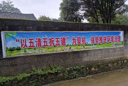 农村五清指的是哪五清图片