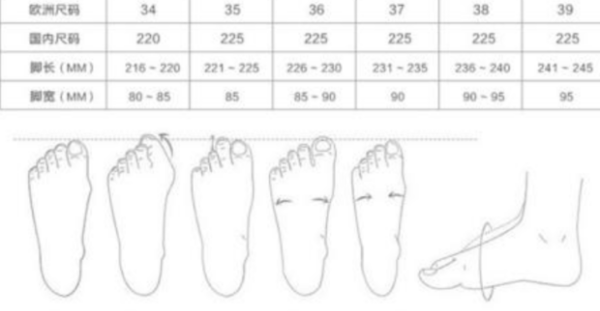 275mm是43码还是45码,斐乐43码是270还是275图1