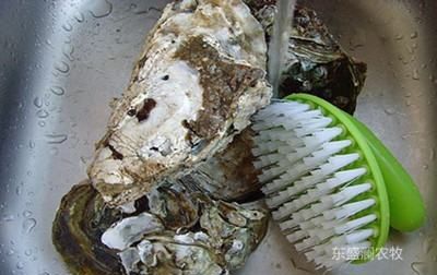 生蚝怎么清洗内脏图解,生蚝怎么清洗内脏图解图10