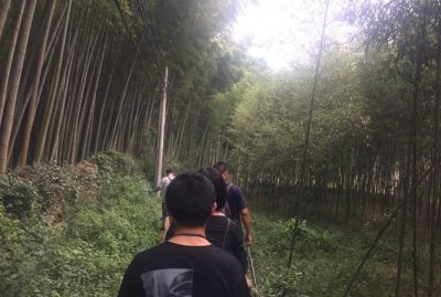 ​伐竹取道，伐竹取道是成语吗？