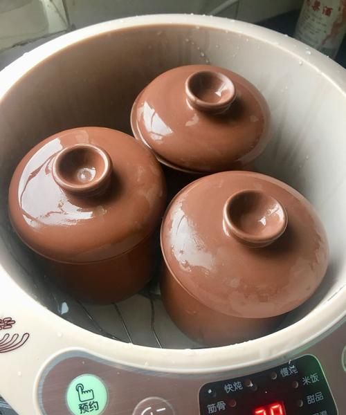 鸽子隔水炖好还是直接炖好