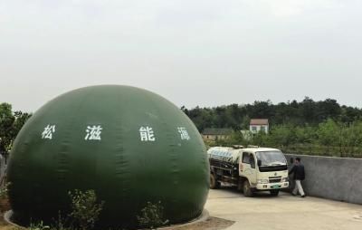 沼气的主要成分